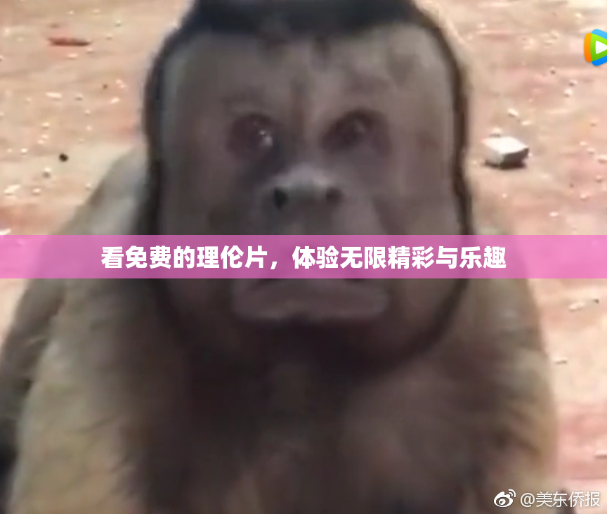 看免费的理伦片，体验无限精彩与乐趣