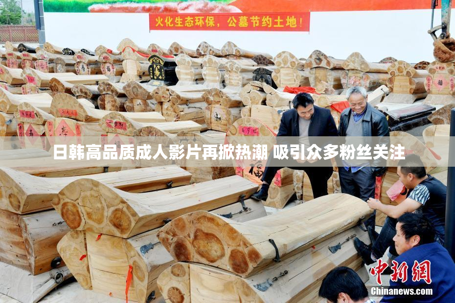 日韩高品质成人影片再掀热潮 吸引众多粉丝关注