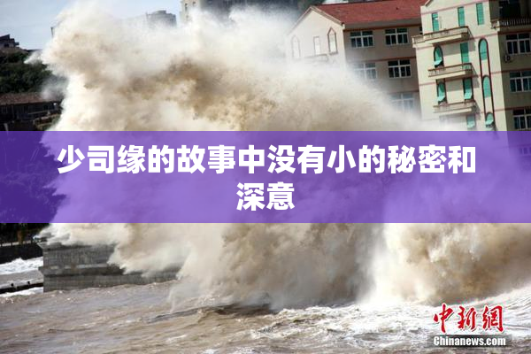 少司缘的故事中没有小的秘密和深意