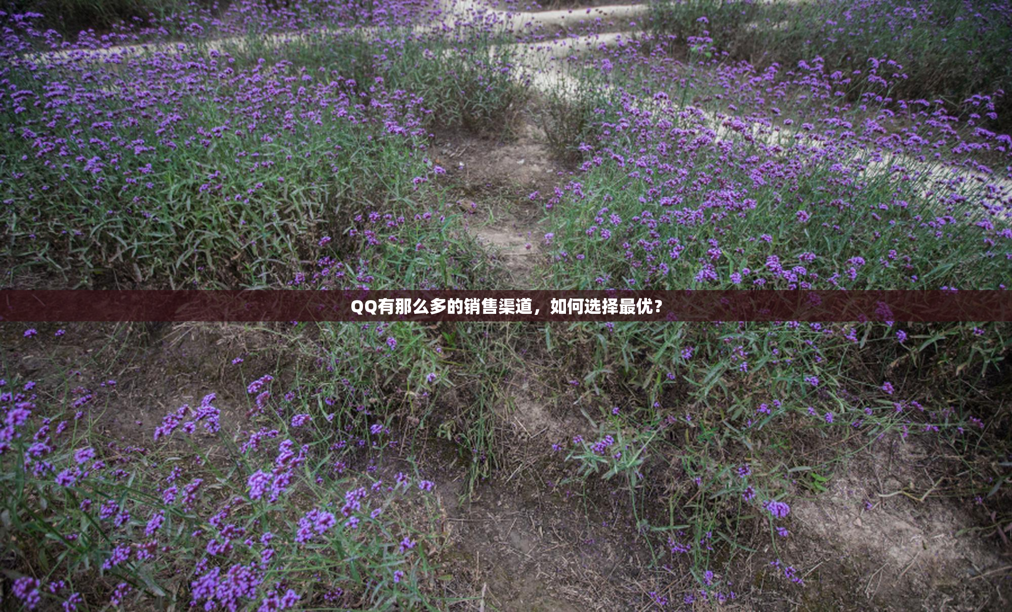 QQ有那么多的销售渠道，如何选择最优？
