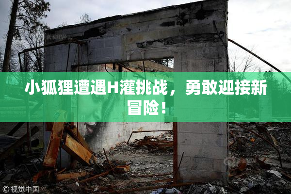 小狐狸遭遇H灌挑战，勇敢迎接新冒险！