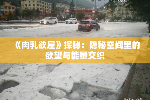 《肉乳欲屋》探秘：隐秘空间里的欲望与能量交织
