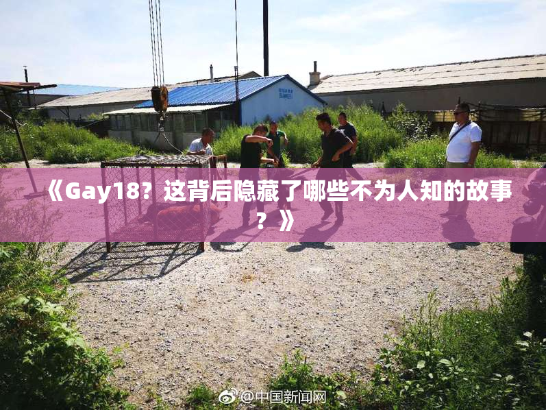 《Gay18？这背后隐藏了哪些不为人知的故事？》