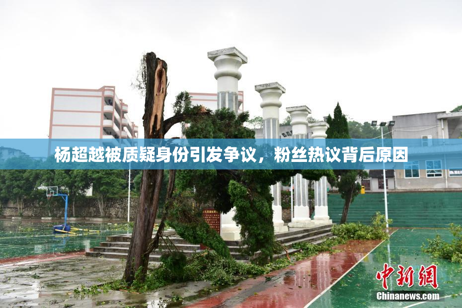 杨超越被质疑身份引发争议，粉丝热议背后原因