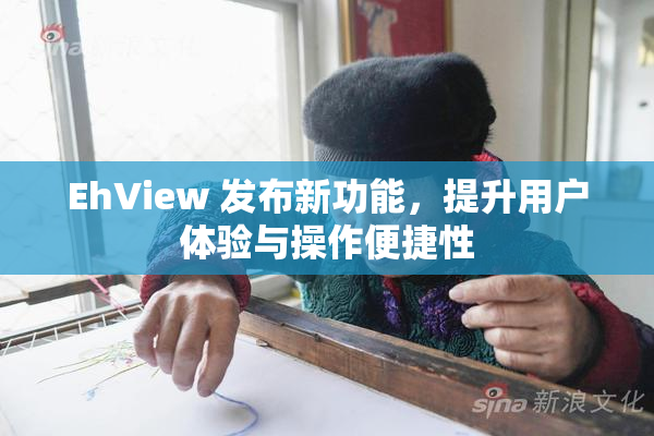EhView 发布新功能，提升用户体验与操作便捷性