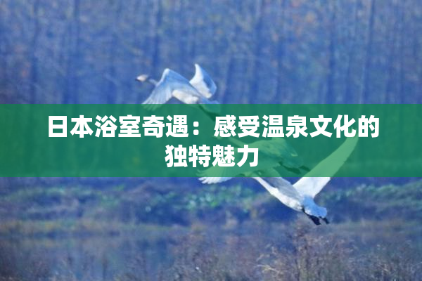日本浴室奇遇：感受温泉文化的独特魅力