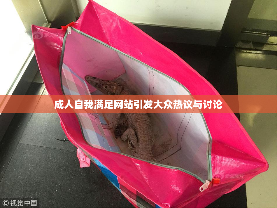 成人自我满足网站引发大众热议与讨论