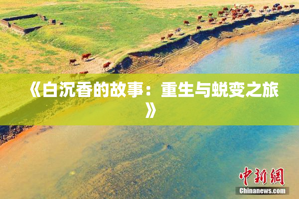 《白沉香的故事：重生与蜕变之旅》