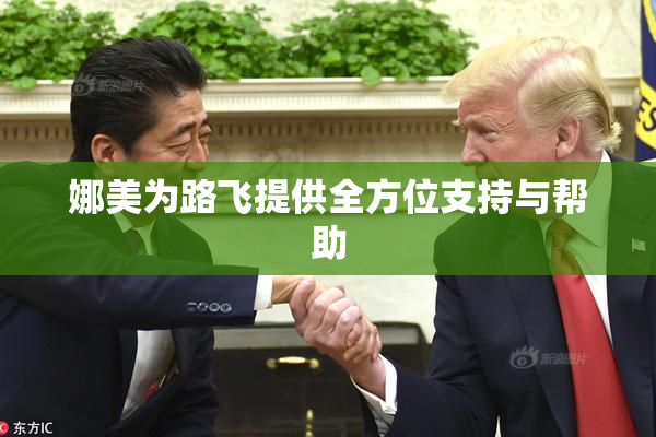 娜美为路飞提供全方位支持与帮助