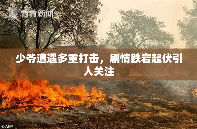 少爷遭遇多重打击，剧情跌宕起伏引人关注