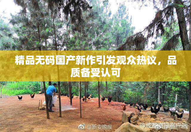 精品无码国产新作引发观众热议，品质备受认可