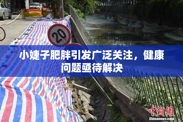 小婕子肥胖引发广泛关注，健康问题亟待解决