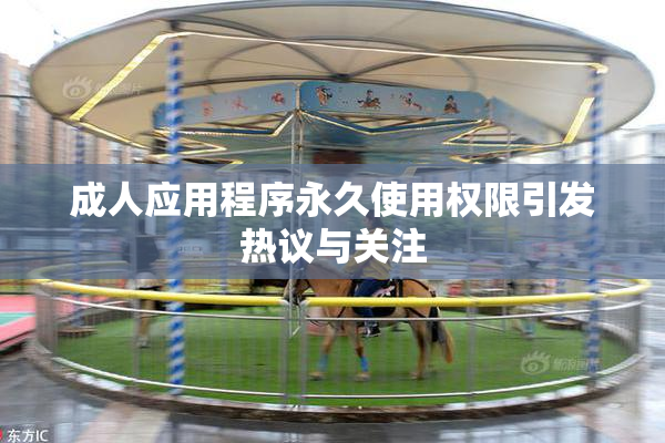 成人应用程序永久使用权限引发热议与关注