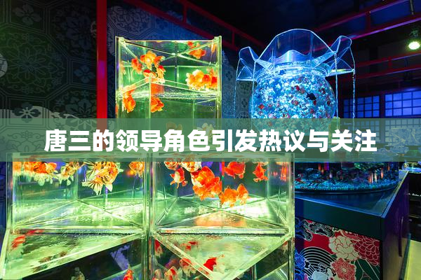 唐三的领导角色引发热议与关注
