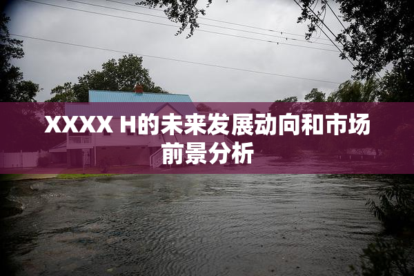 XXXX H的未来发展动向和市场前景分析