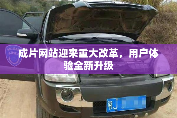 成片网站迎来重大改革，用户体验全新升级