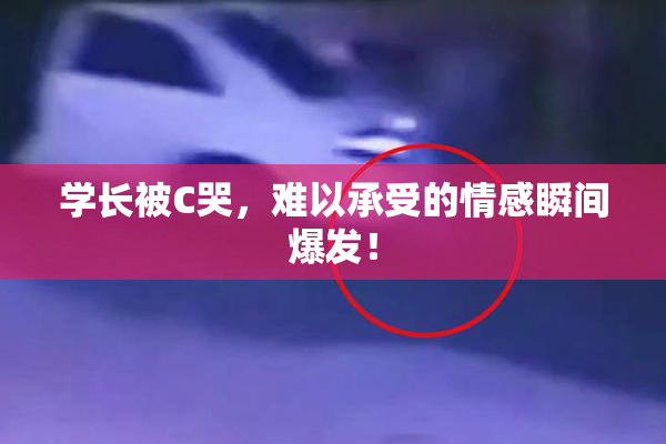学长被C哭，难以承受的情感瞬间爆发！