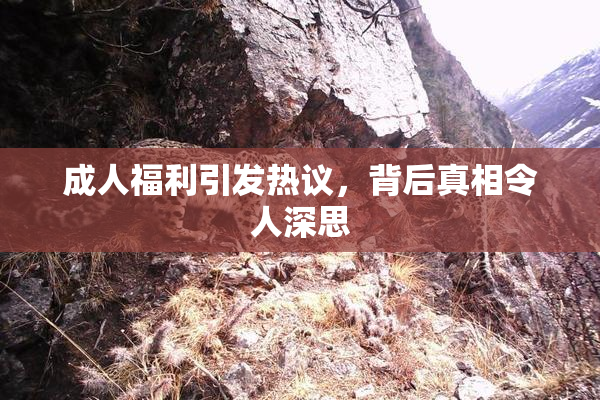成人福利引发热议，背后真相令人深思