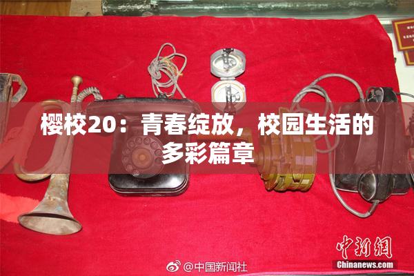 樱校20：青春绽放，校园生活的多彩篇章