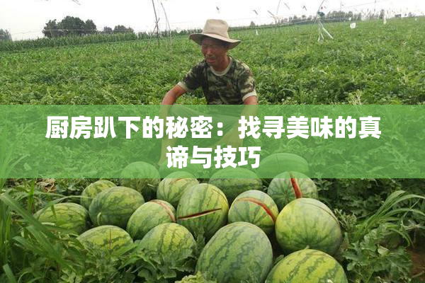 厨房趴下的秘密：找寻美味的真谛与技巧