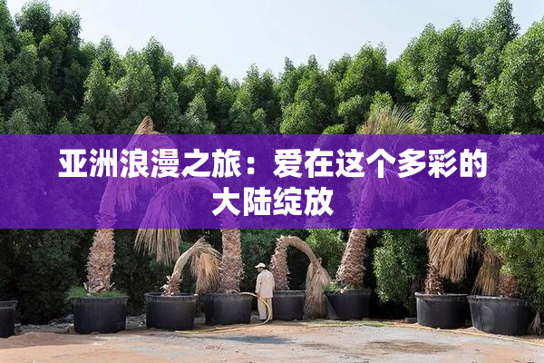 亚洲浪漫之旅：爱在这个多彩的大陆绽放