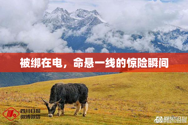 被绑在电，命悬一线的惊险瞬间