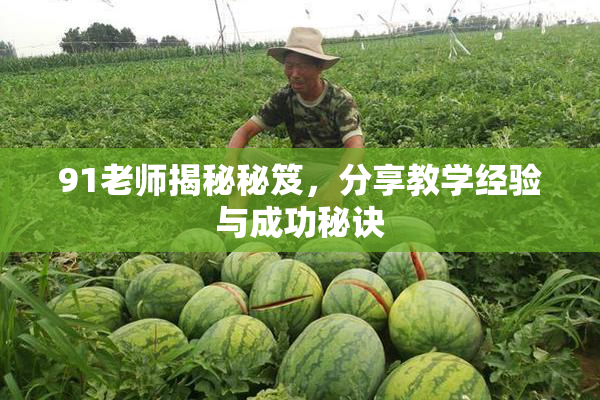 91老师揭秘秘笈，分享教学经验与成功秘诀