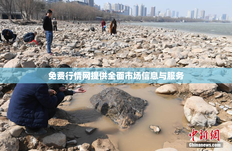 免费行情网提供全面市场信息与服务
