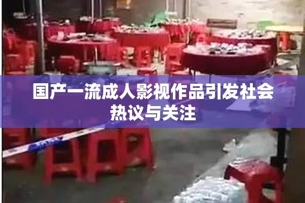 国产一流成人影视作品引发社会热议与关注