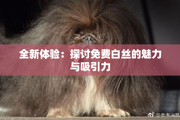 全新体验：探讨免费白丝的魅力与吸引力