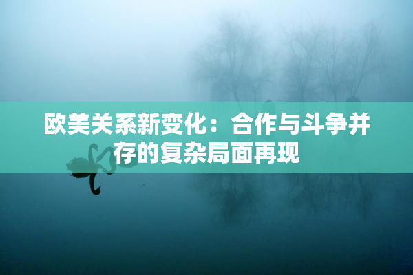 欧美关系新变化：合作与斗争并存的复杂局面再现