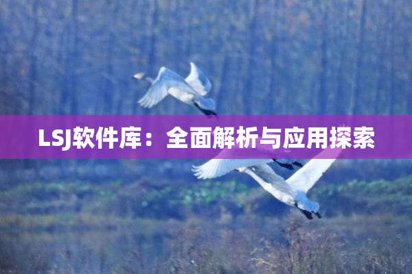 LSJ软件库：全面解析与应用探索