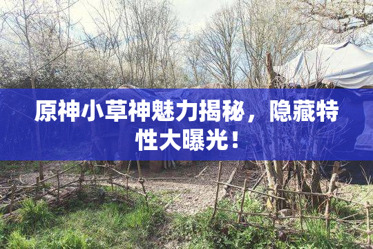 原神小草神魅力揭秘，隐藏特性大曝光！