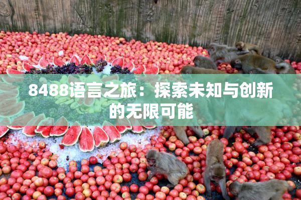 8488语言之旅：探索未知与创新的无限可能