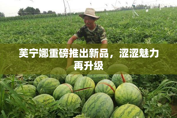 芙宁娜重磅推出新品，涩涩魅力再升级