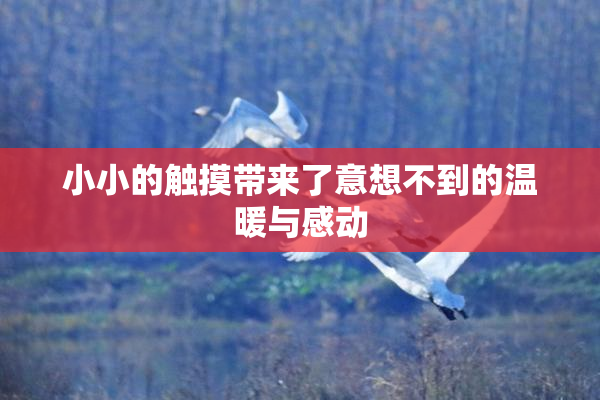 小小的触摸带来了意想不到的温暖与感动
