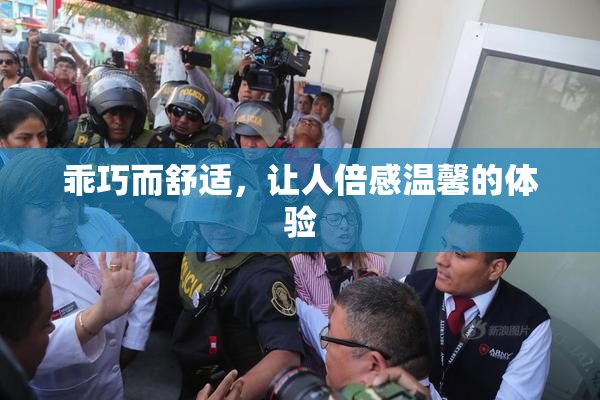 乖巧而舒适，让人倍感温馨的体验