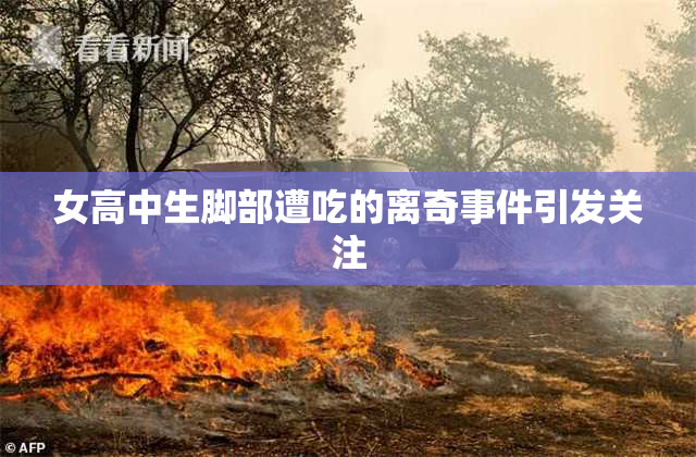 女高中生脚部遭吃的离奇事件引发关注