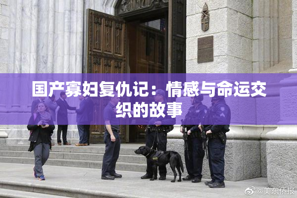国产寡妇复仇记：情感与命运交织的故事