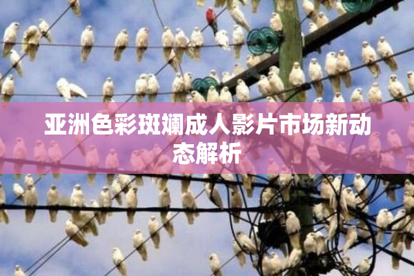 亚洲色彩斑斓成人影片市场新动态解析