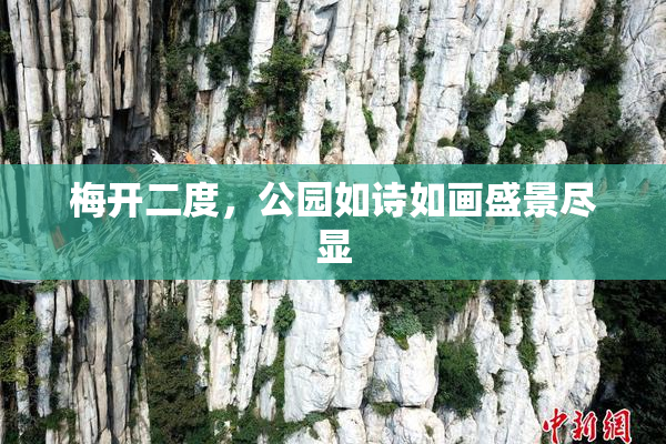 梅开二度，公园如诗如画盛景尽显