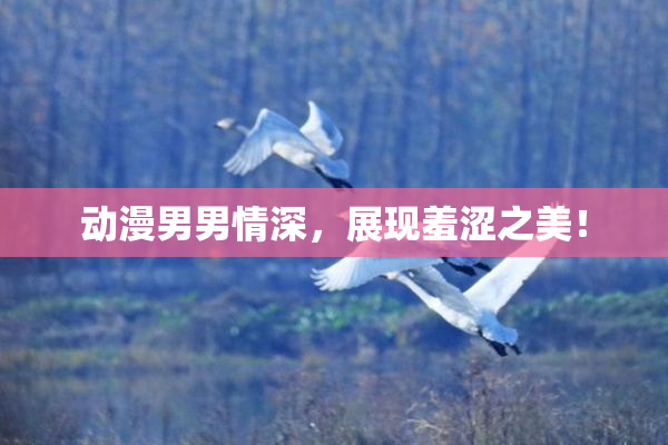 动漫男男情深，展现羞涩之美！