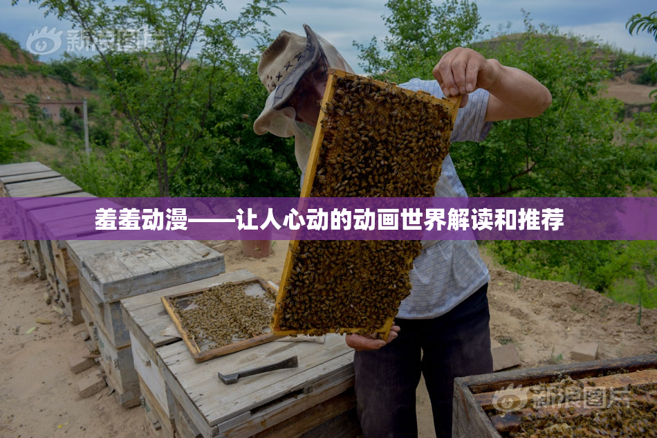 羞羞动漫——让人心动的动画世界解读和推荐