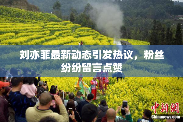 刘亦菲最新动态引发热议，粉丝纷纷留言点赞
