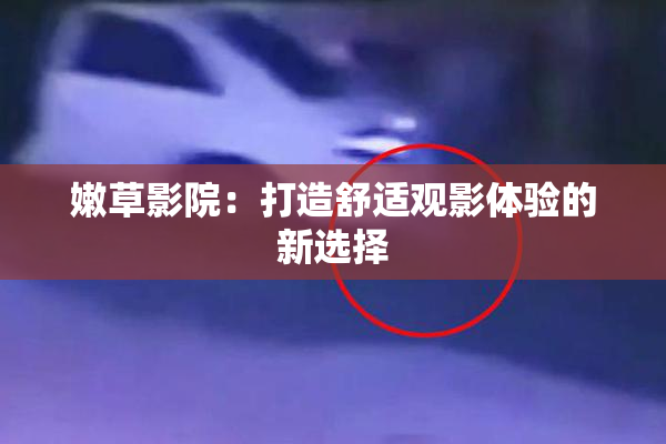 嫩草影院：打造舒适观影体验的新选择