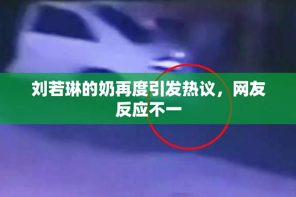 刘若琳的奶再度引发热议，网友反应不一