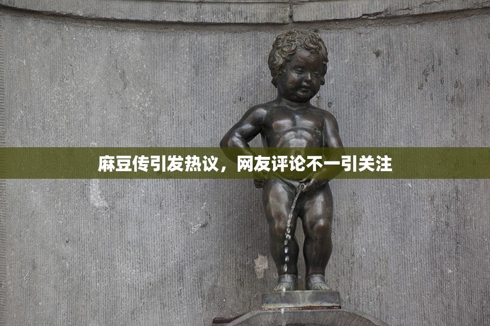 麻豆传引发热议，网友评论不一引关注