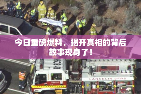 今日重磅爆料，揭开真相的背后故事现身了！