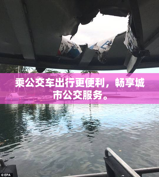 乘公交车出行更便利，畅享城市公交服务。