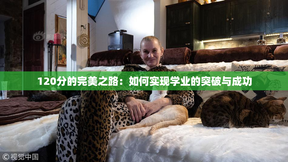120分的完美之路：如何实现学业的突破与成功